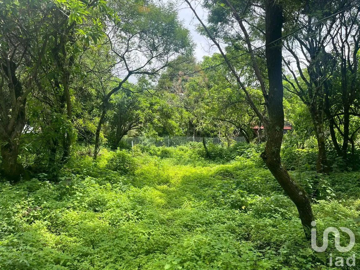 Terreno en Venta en Santo Domingo Ocotitlán, Tepoztlán, Morelos | NEX-254507 | iad México | Foto 3 de 6