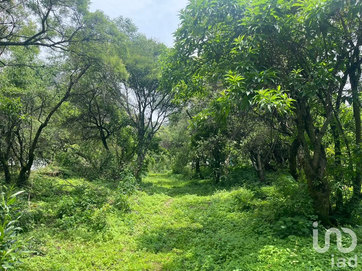 Terreno en Venta en Santo Domingo Ocotitlán, Tepoztlán, Morelos | NEX-254507 | iad México | Foto 4 de 6
