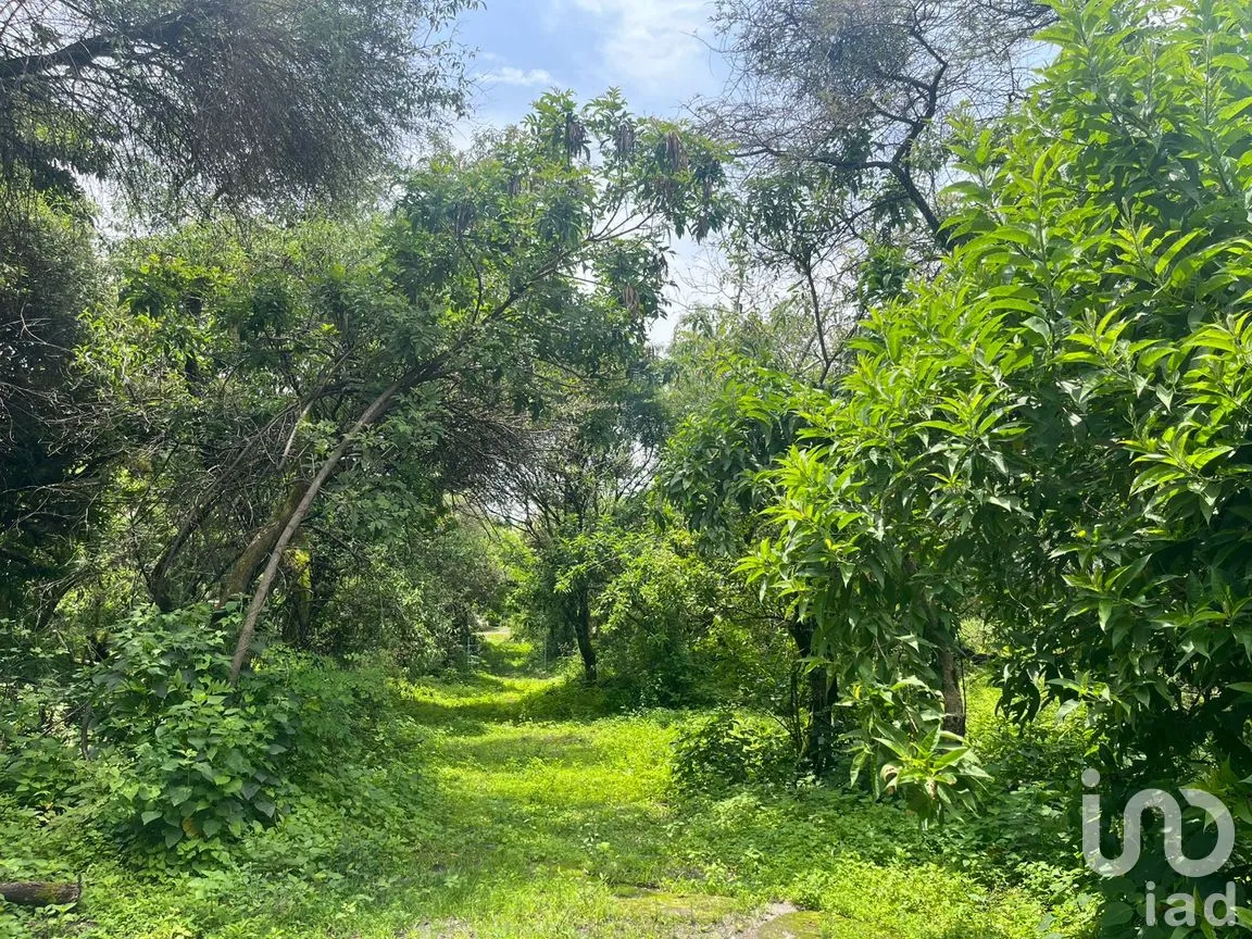 Terreno en Venta en Santo Domingo Ocotitlán, Tepoztlán, Morelos | NEX-254507 | iad México | Foto 5 de 6