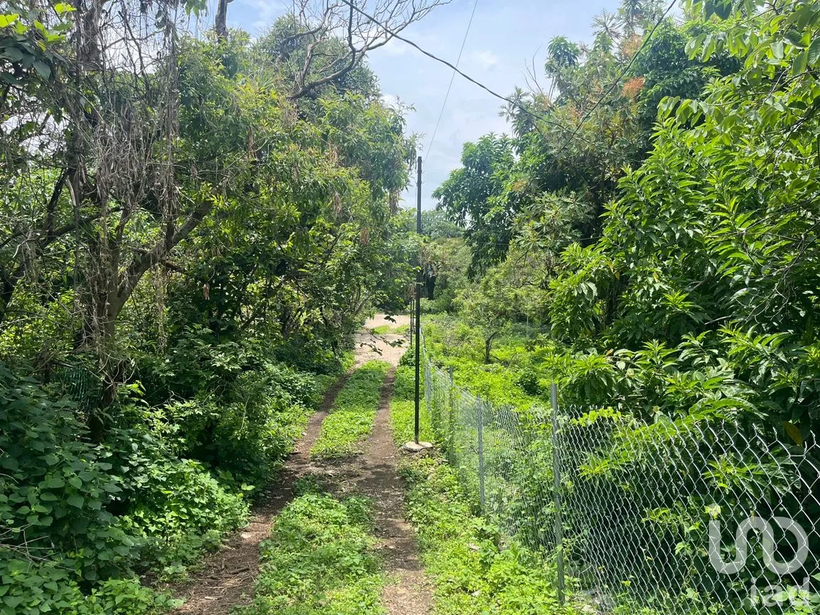 Terreno en Venta en Santo Domingo Ocotitlán, Tepoztlán, Morelos | NEX-254507 | iad México | Foto 6 de 6