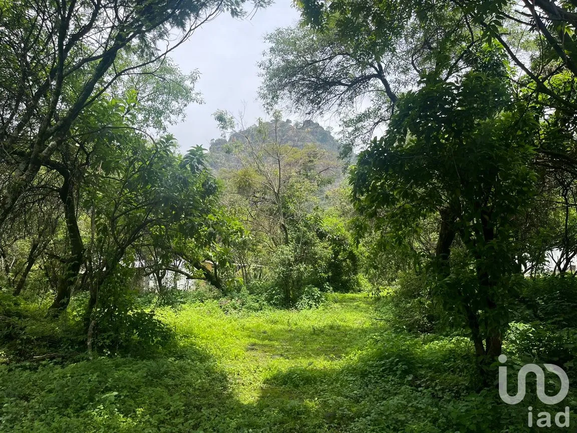 Terreno en Venta en Santo Domingo Ocotitlán, Tepoztlán, Morelos | NEX-254507 | iad México | Foto 1 de 6