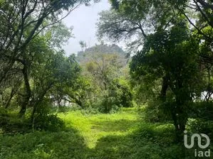 NEX-254507 - Terreno en Venta en Santo Domingo Ocotitlán, CP 62524, Morelos.