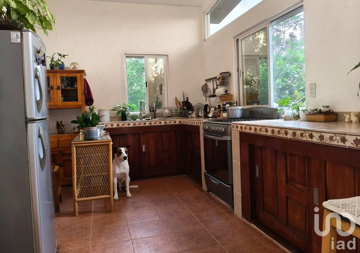 Casa en Venta en Chichco (Chisco), Tepoztlán, Morelos | NEX-259223 | iad México | Foto 3 de 7