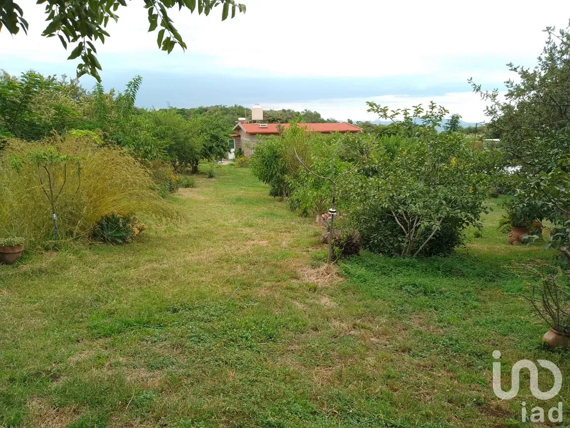 Casa en Venta en Chichco (Chisco), Tepoztlán, Morelos | NEX-259223 | iad México | Foto 7 de 7
