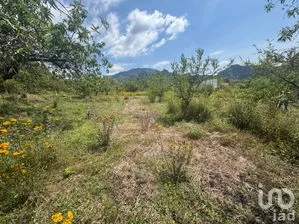 NEX-285570 - Terreno en Venta en Amatlán de Quetzalcóatl, CP 62525, Morelos.