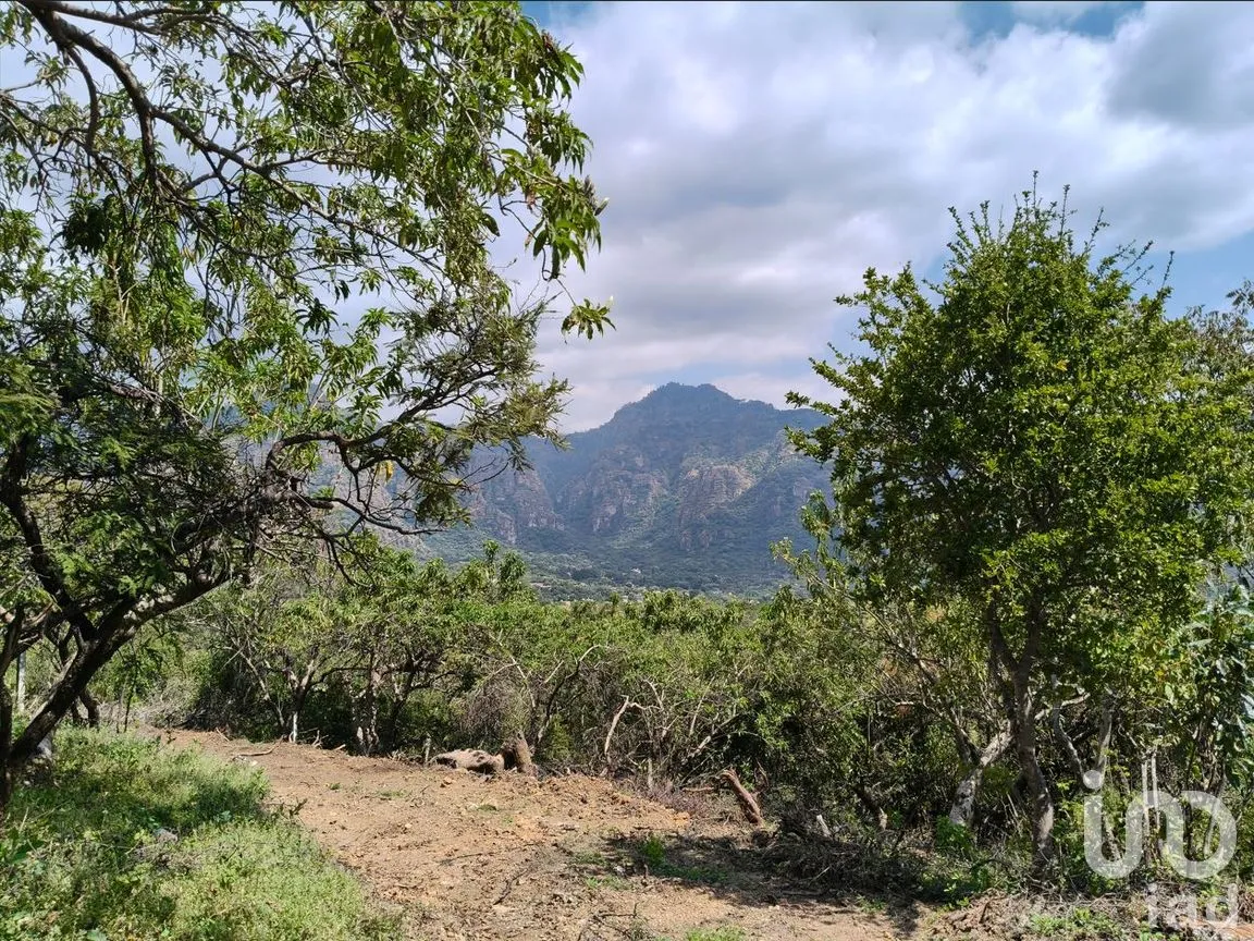 Terreno en Venta en Amatlán de Quetzalcóatl, Tepoztlán, Morelos | NEX-285571 | iad México | Foto 2 de 5