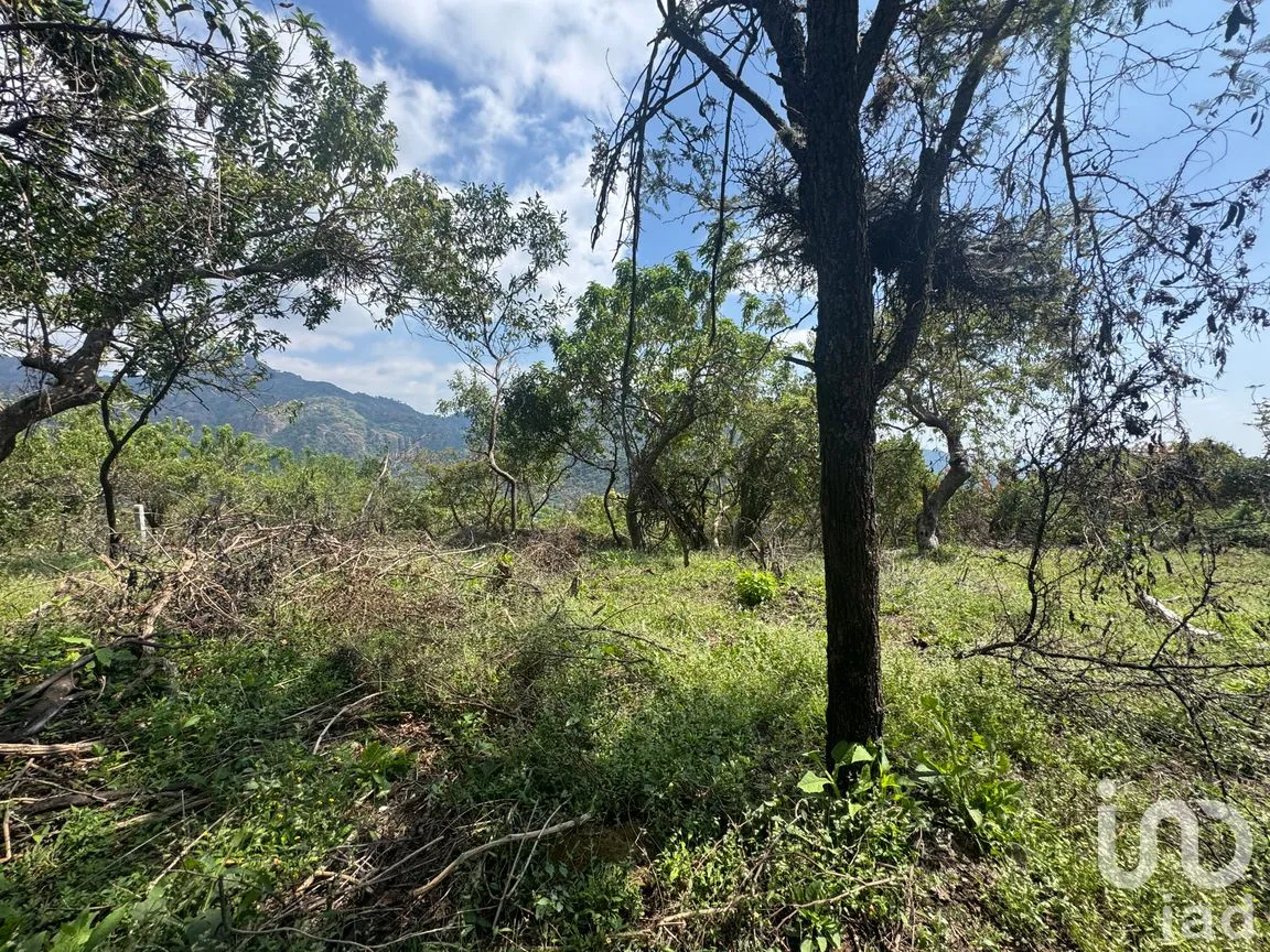 Terreno en Venta en Amatlán de Quetzalcóatl, Tepoztlán, Morelos | NEX-285571 | iad México | Foto 4 de 5