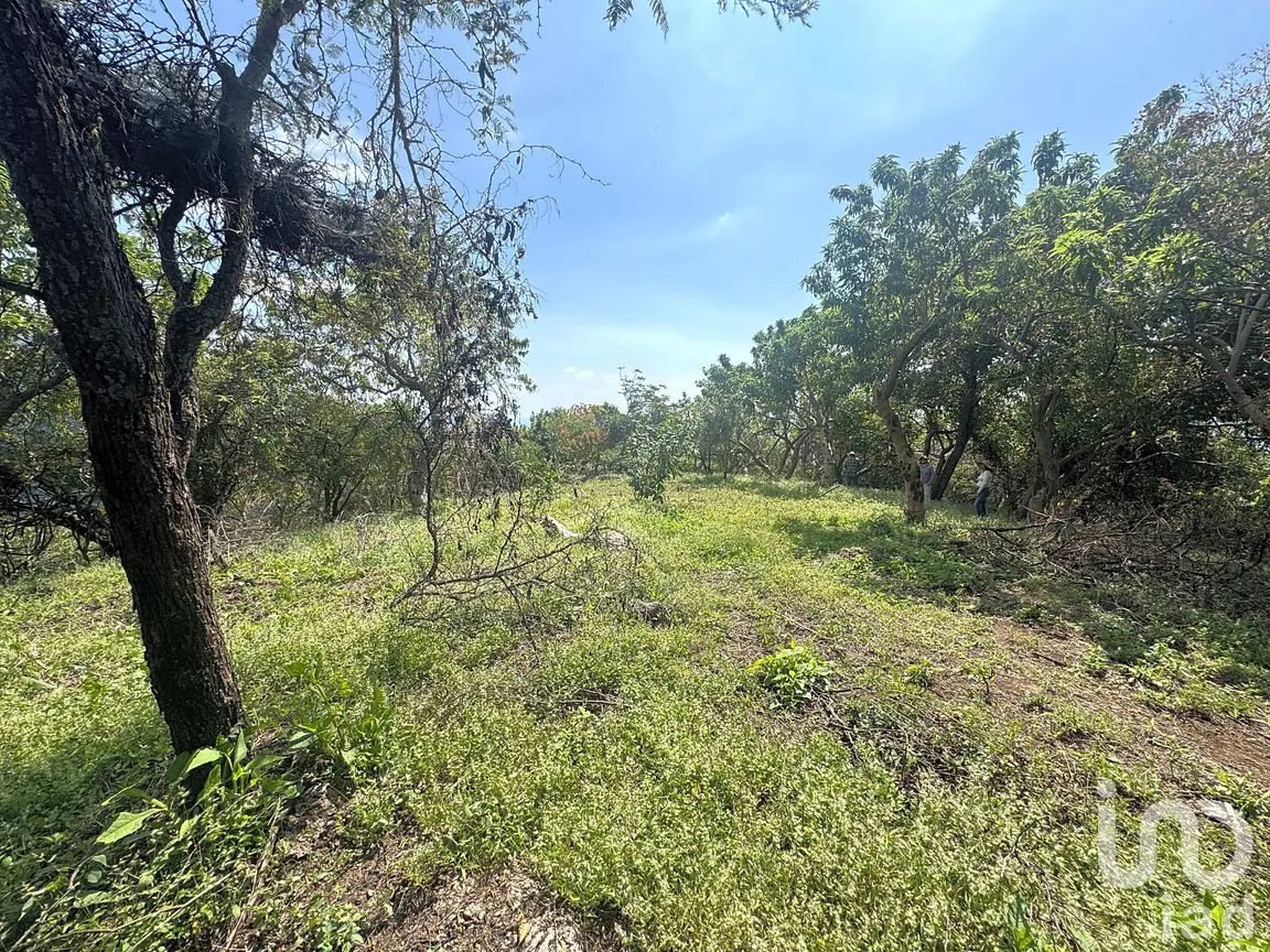 Terreno en Venta en Amatlán de Quetzalcóatl, Tepoztlán, Morelos | NEX-285571 | iad México | Foto 5 de 5