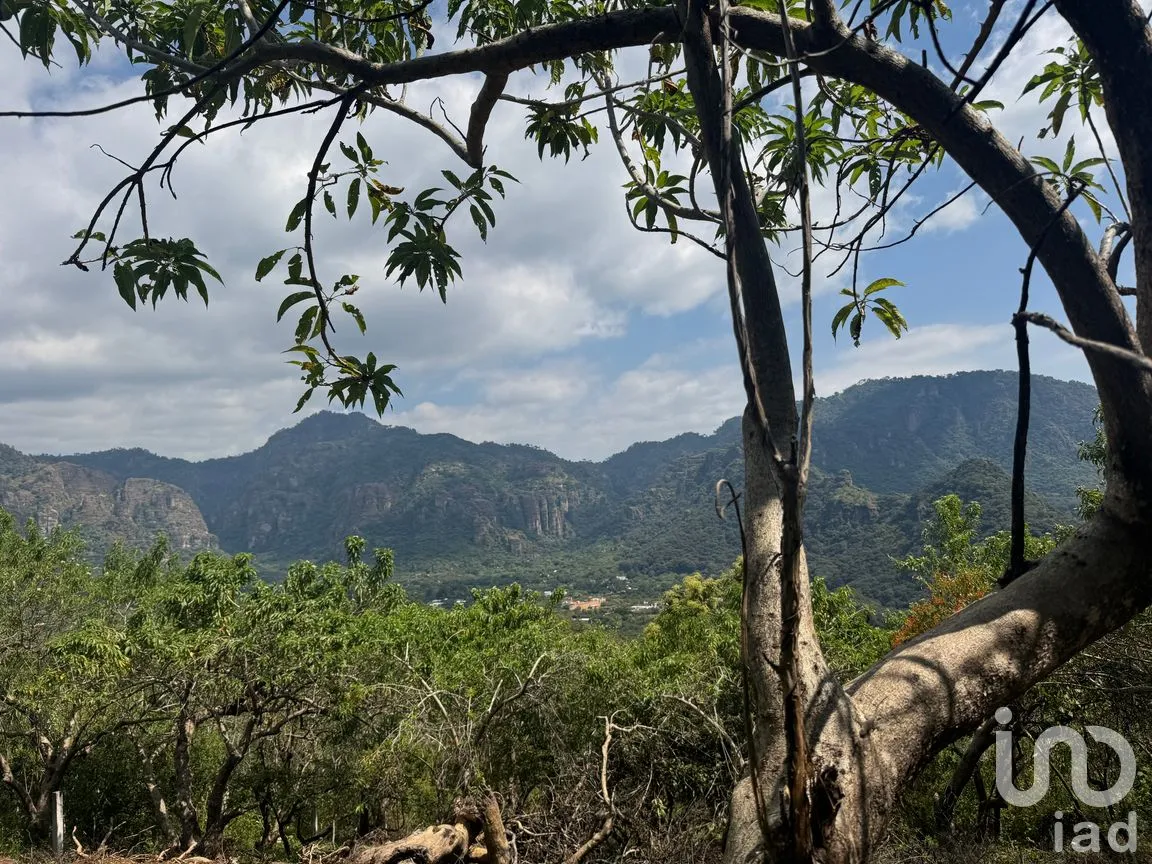 Terreno en Venta en Amatlán de Quetzalcóatl, Tepoztlán, Morelos | NEX-285571 | iad México | Foto 1 de 5