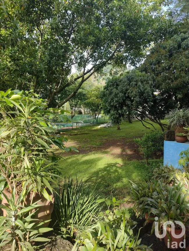 Casa en Venta en Huilotepec, Tepoztlán, Morelos | NEX-285572 | iad México | Foto 6 de 7