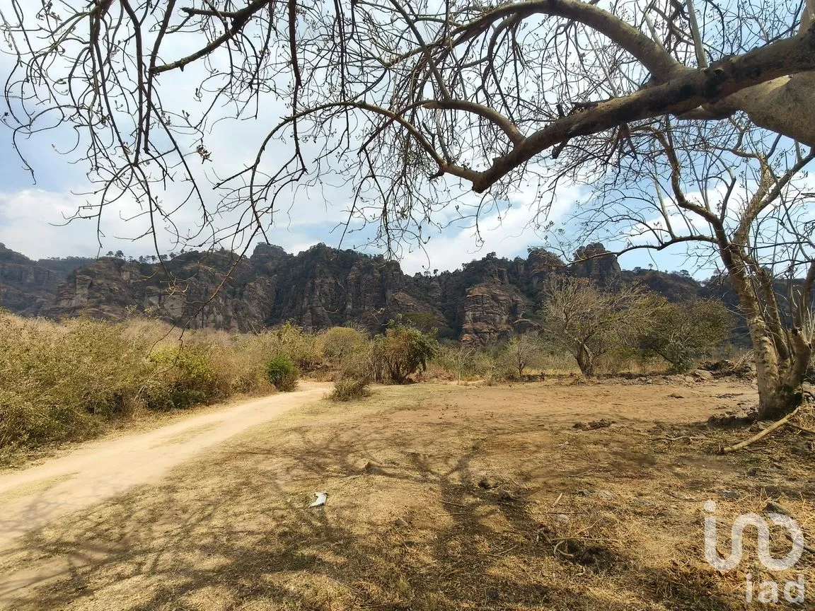 Terreno en Venta en Santo Domingo Ocotitlán, Tepoztlán, Morelos | NEX-291801 | iad México | Foto 4 de 11