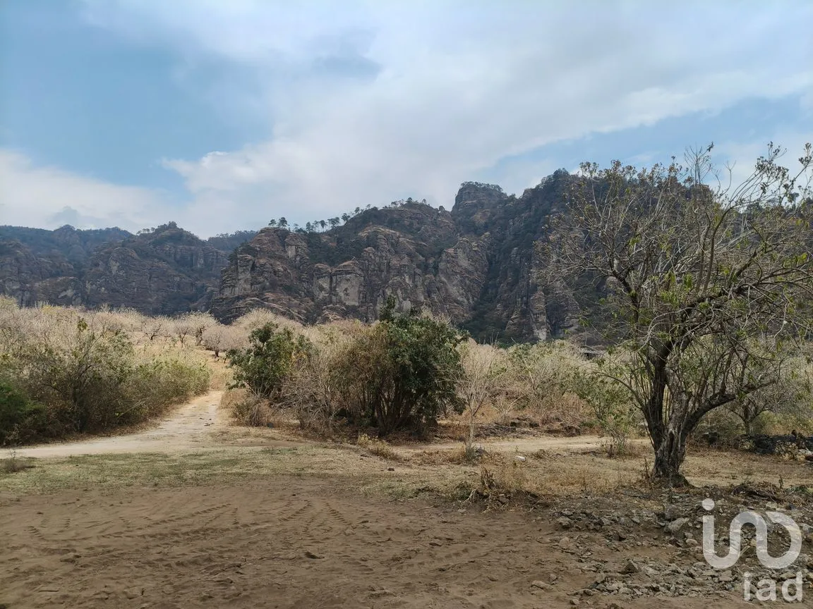 Terreno en Venta en Santo Domingo Ocotitlán, Tepoztlán, Morelos | NEX-291801 | iad México | Foto 6 de 11