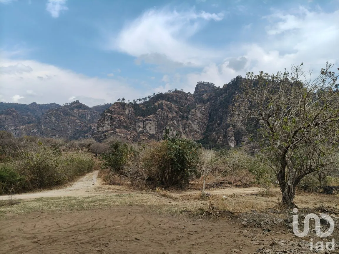 Terreno en Venta en Santo Domingo Ocotitlán, Tepoztlán, Morelos | NEX-291801 | iad México | Foto 8 de 11