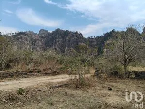 NEX-291801 - Terreno en Venta en Santo Domingo Ocotitlán, CP 62524, Morelos.