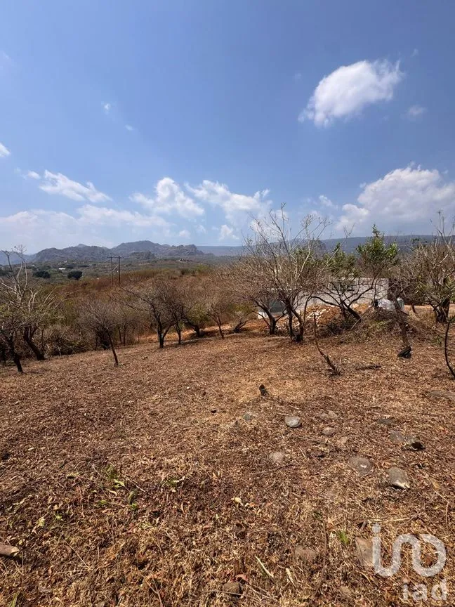 Terreno en Venta en Tecmilco, Tepoztlán, Morelos | NEX-294229 | iad México | Foto 11 de 12