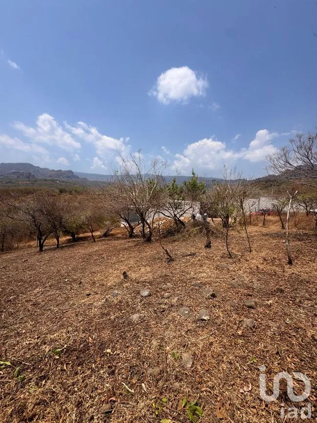 Terreno en Venta en Tecmilco, Tepoztlán, Morelos | NEX-294229 | iad México | Foto 12 de 12