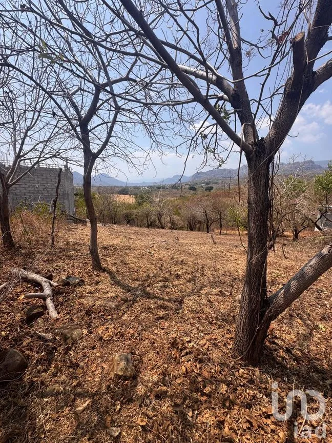 Terreno en Venta en Tecmilco, Tepoztlán, Morelos | NEX-294229 | iad México | Foto 5 de 12