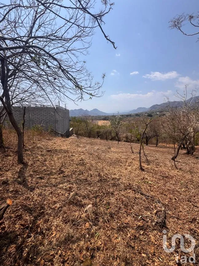Terreno en Venta en Tecmilco, Tepoztlán, Morelos | NEX-294229 | iad México | Foto 6 de 12