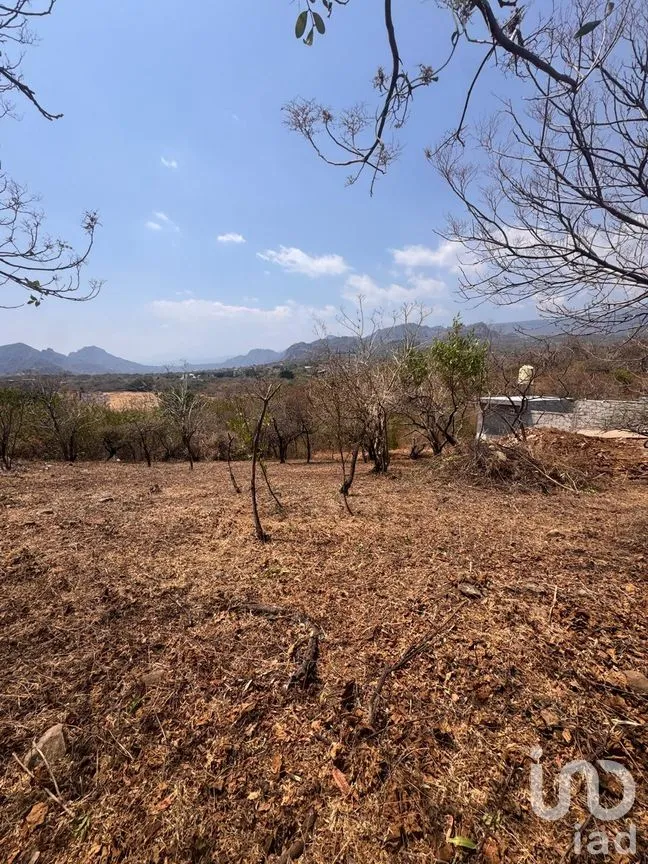 Terreno en Venta en Tecmilco, Tepoztlán, Morelos | NEX-294229 | iad México | Foto 7 de 12