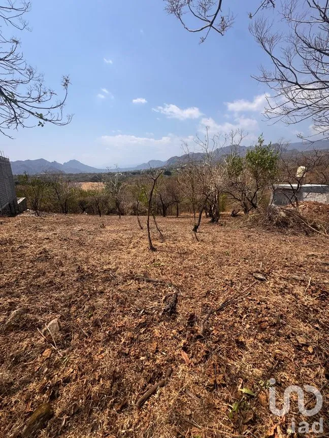 Terreno en Venta en Tecmilco, Tepoztlán, Morelos | NEX-294229 | iad México | Foto 8 de 12