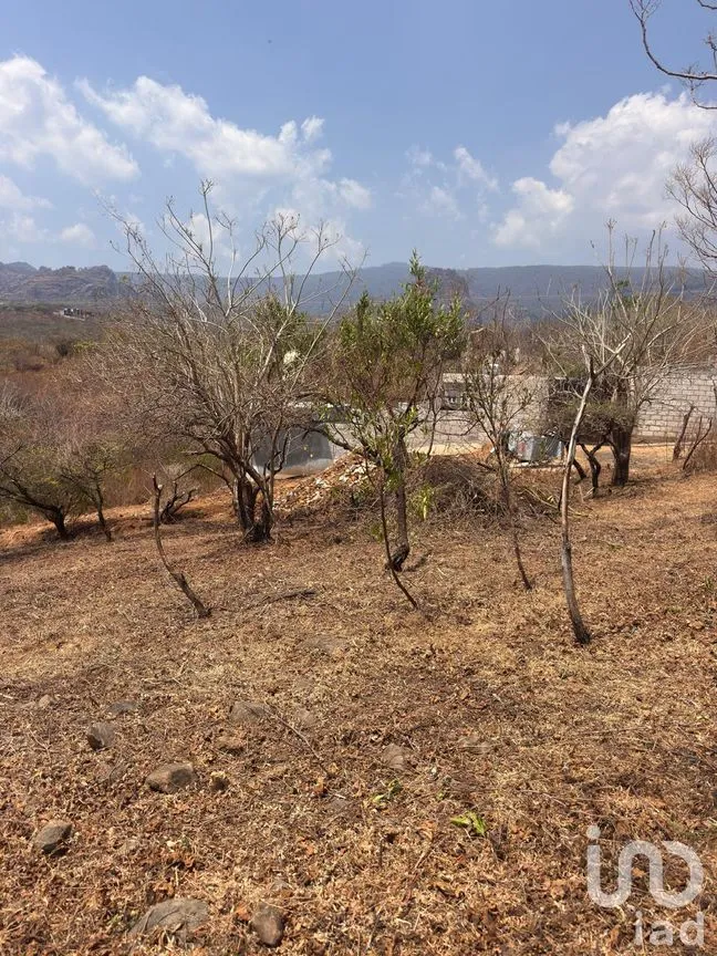Terreno en Venta en Tecmilco, Tepoztlán, Morelos | NEX-294229 | iad México | Foto 9 de 12
