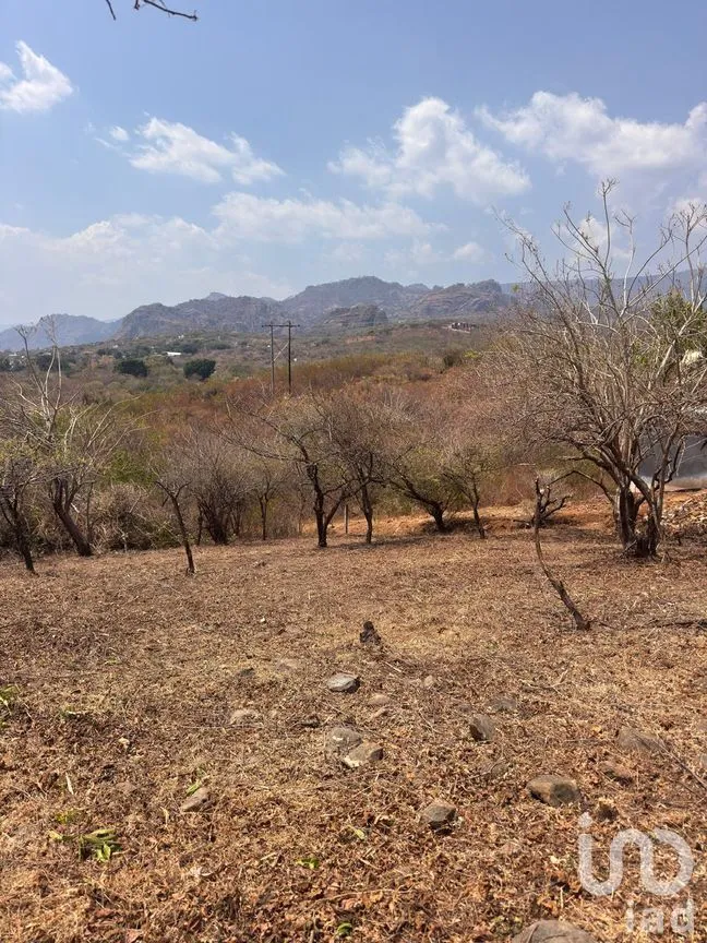 Terreno en Venta en Tecmilco, Tepoztlán, Morelos | NEX-294229 | iad México | Foto 10 de 12