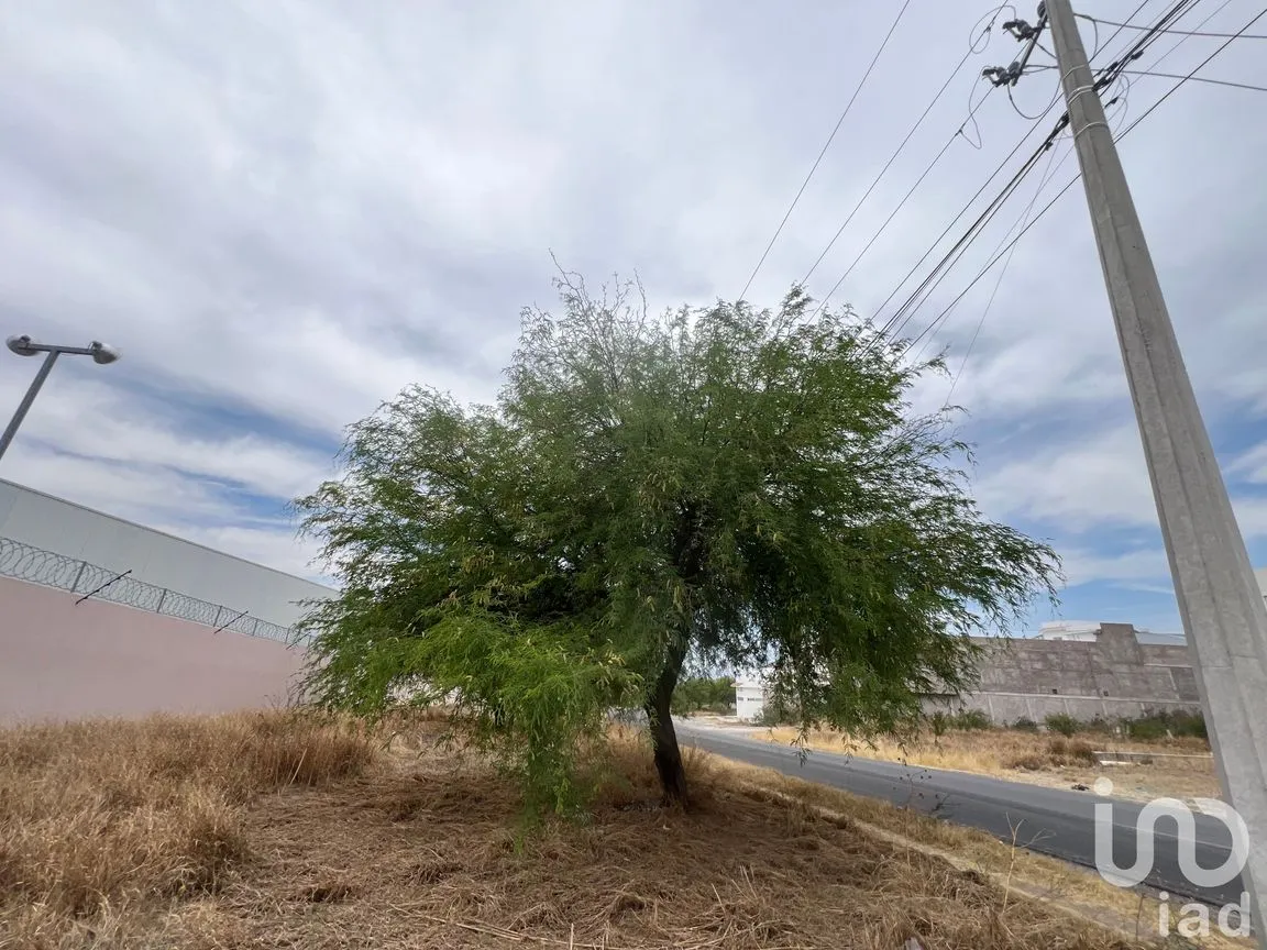 Terreno en Venta en El Calichar, Apaseo el Alto, Guanajuato | NEX-246127 | iad México | Foto 12 de 12