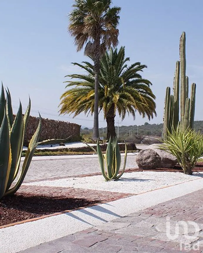 Terreno en Venta en San José del Jagüey, Ezequiel Montes, Querétaro | NEX-249201 | iad México | Foto 3 de 35