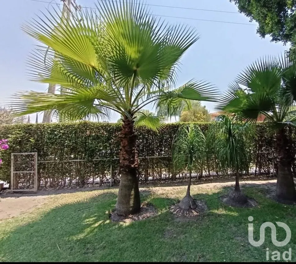Terreno en Venta en Club de Golf el Cristo, Atlixco, Puebla | NEX-260858 | iad México | Foto 3 de 7
