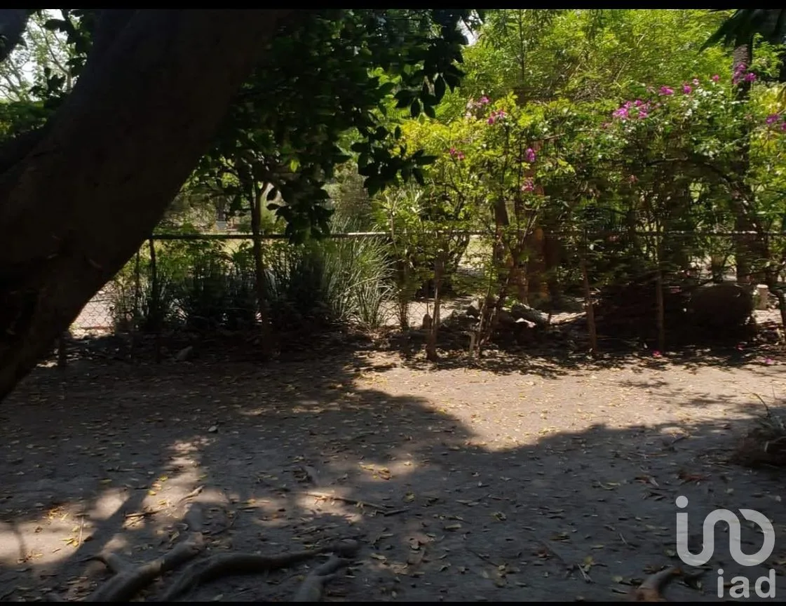 Terreno en Venta en Club de Golf el Cristo, Atlixco, Puebla | NEX-260858 | iad México | Foto 7 de 7