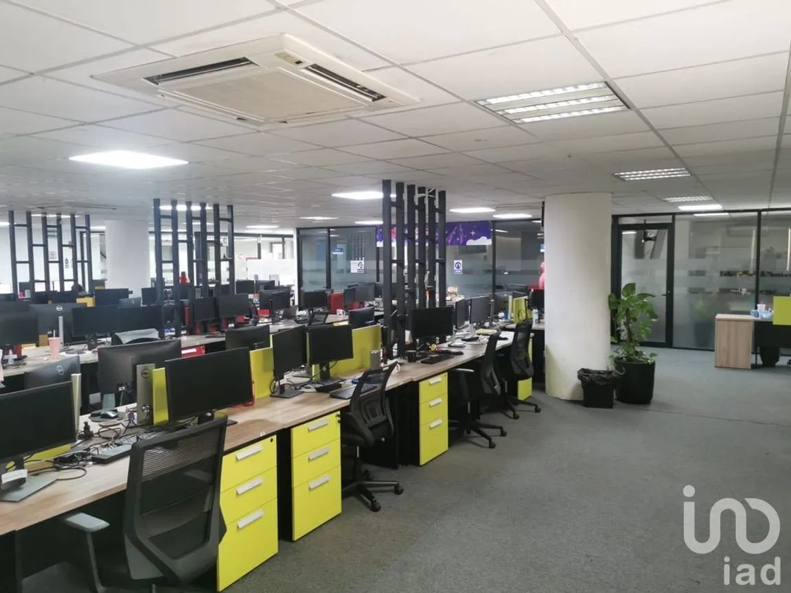 Edificio en Renta en Mérida Centro, Mérida, Yucatán | NEX-252511 | iad México | Foto 7 de 20