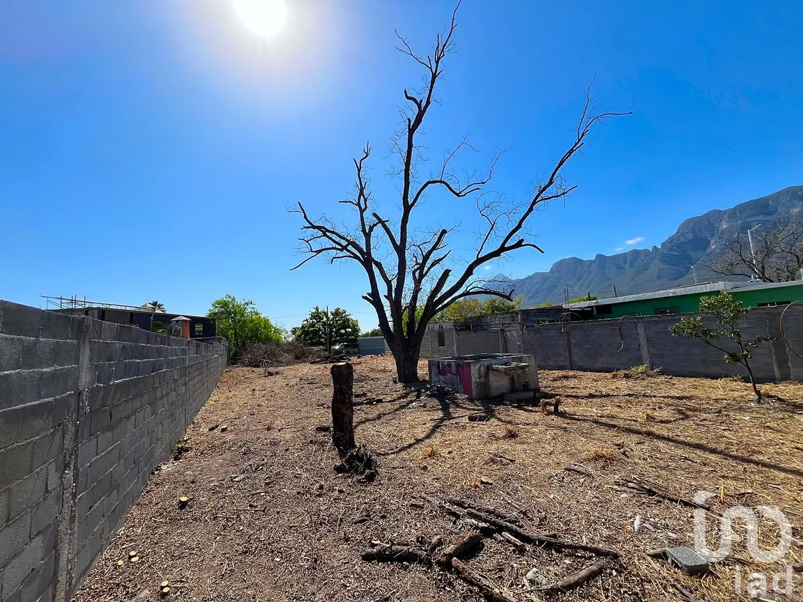 Terreno en Renta en Hidalgo Centro, Hidalgo, Nuevo León | NEX-255991 | iad México | Foto 4 de 7