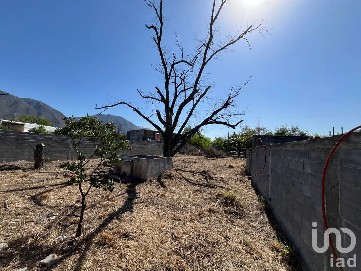 Terreno en Renta en Hidalgo Centro, Hidalgo, Nuevo León | NEX-255991 | iad México | Foto 5 de 7