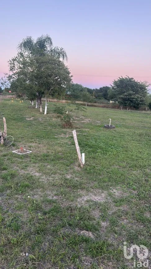 Terreno en Venta en Valle Hidalgo (La Cotorra), Montemorelos, Nuevo León | NEX-283464 | iad México | Foto 2 de 5