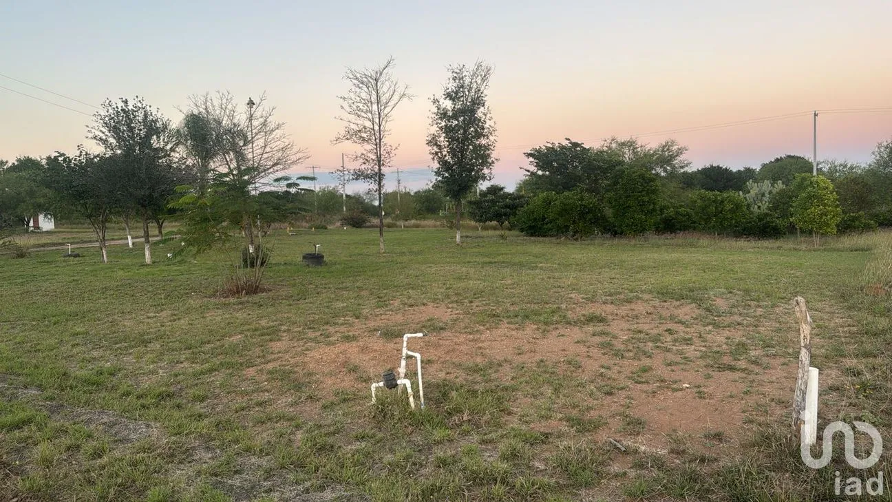 Terreno en Venta en Valle Hidalgo (La Cotorra), Montemorelos, Nuevo León | NEX-283464 | iad México | Foto 4 de 5