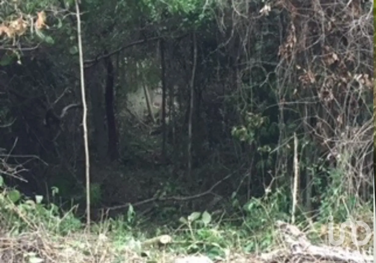 Terreno en Venta en Balamtun, Solidaridad, Quintana Roo | NEX-266107 | iad México | Foto 2 de 5