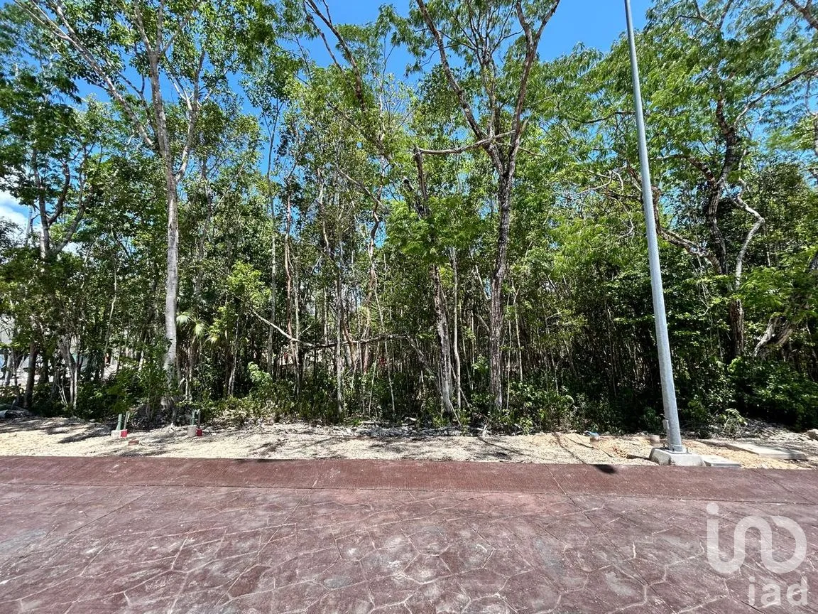 Terreno en Venta en Ciudad Mayakoba, Solidaridad, Quintana Roo | NEX-302928 | iad México | Foto 3 de 11