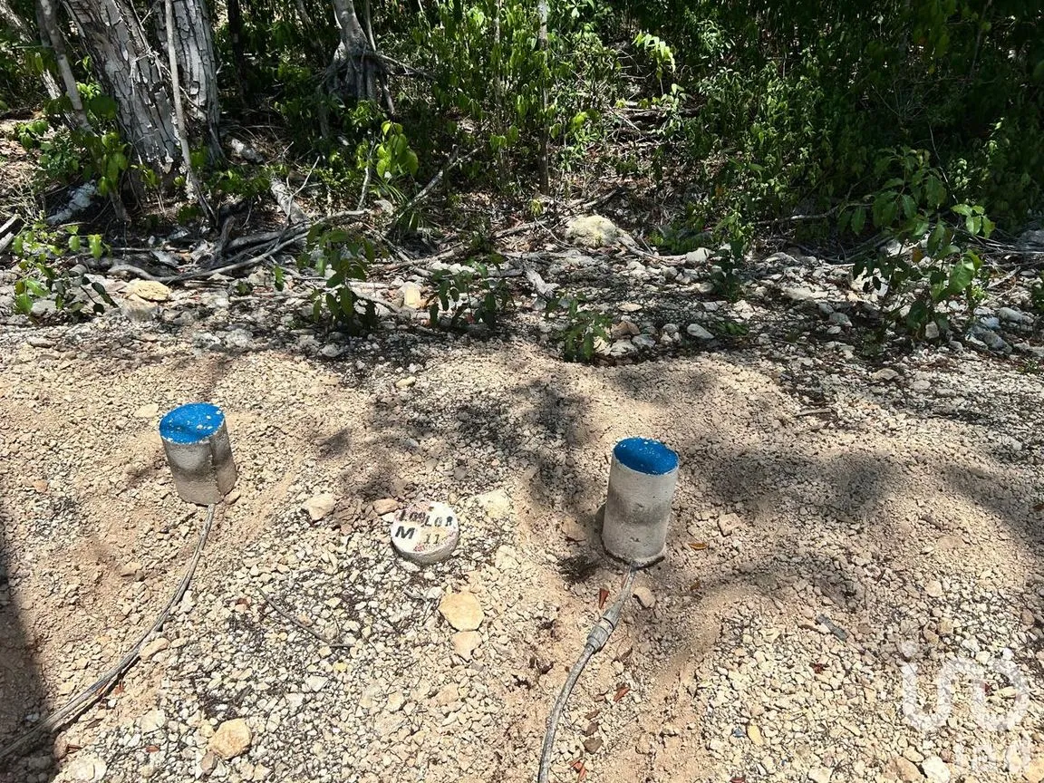 Terreno en Venta en Ciudad Mayakoba, Solidaridad, Quintana Roo | NEX-302928 | iad México | Foto 4 de 11