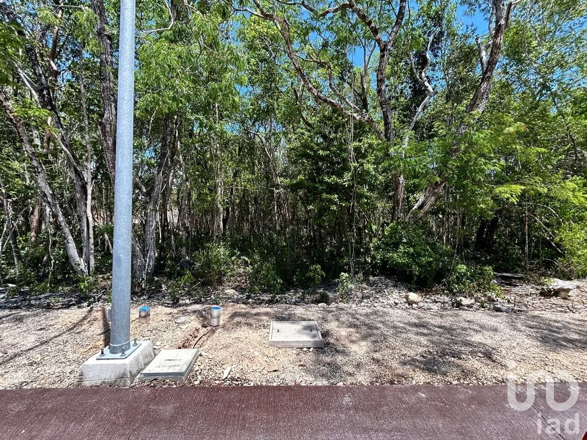 Terreno en Venta en Ciudad Mayakoba, Solidaridad, Quintana Roo | NEX-302928 | iad México | Foto 5 de 11