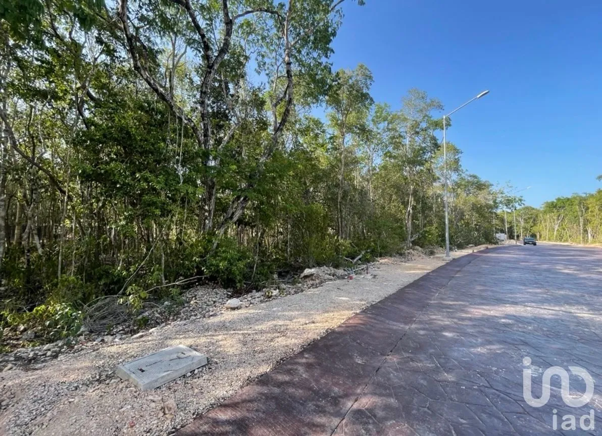 Terreno en Venta en Ciudad Mayakoba, Solidaridad, Quintana Roo | NEX-302928 | iad México | Foto 6 de 11