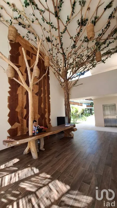 Cuarto en Renta en Tulum Centro, Tulum, Quintana Roo | NEX-265811 | iad México | Foto 11 de 15