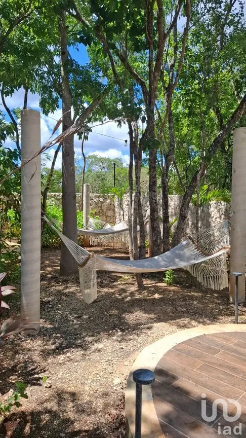 Cuarto en Renta en Tulum Centro, Tulum, Quintana Roo | NEX-265811 | iad México | Foto 12 de 15