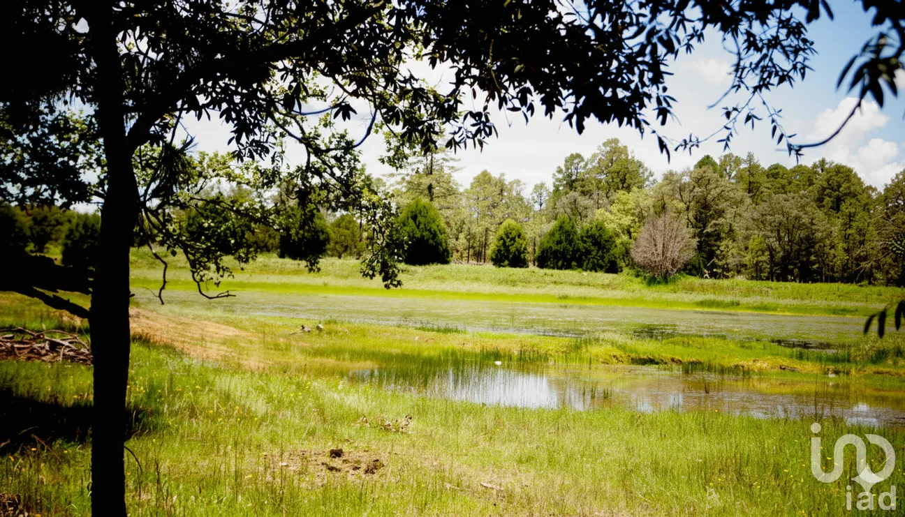Terreno en Venta en Coyotes (Ojo de Agua de Coyotes), Pueblo Nuevo, Durango | NEX-258980 | iad México | Foto 4 de 9