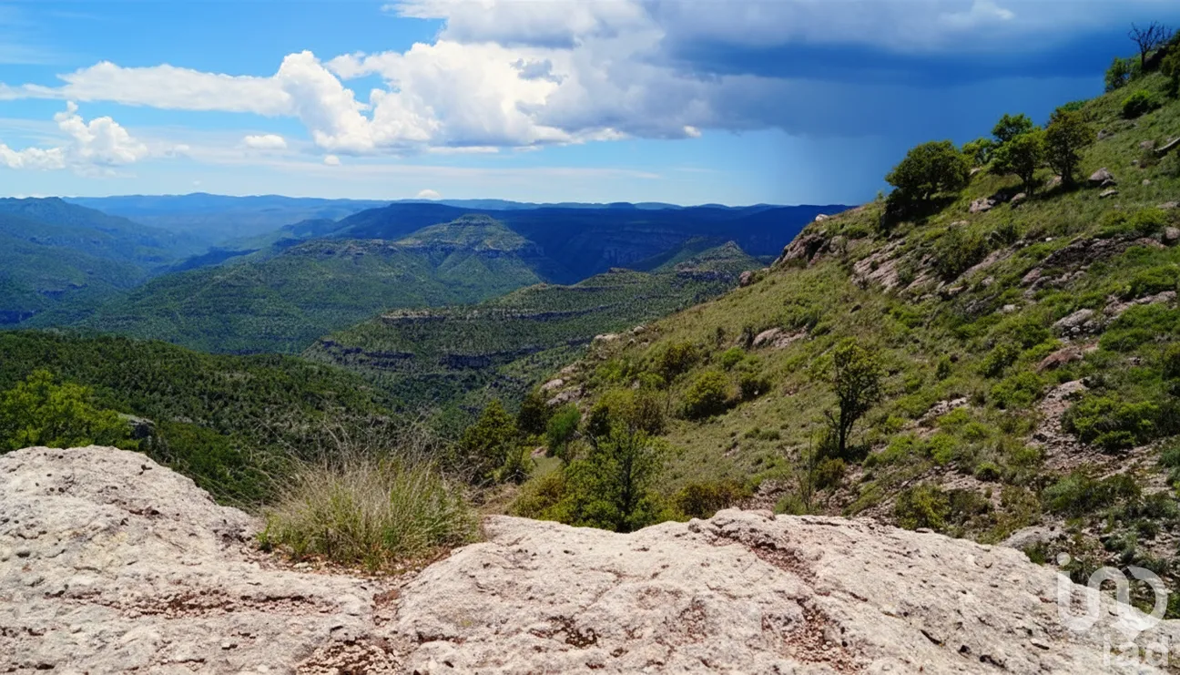 Terreno en Venta en Coyotes (Ojo de Agua de Coyotes), Pueblo Nuevo, Durango | NEX-258980 | iad México | Foto 5 de 9