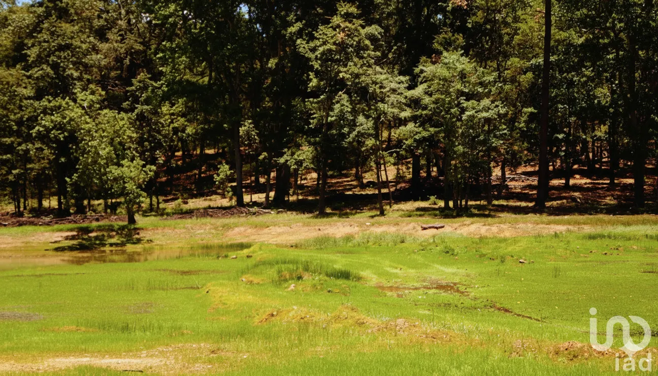 Terreno en Venta en Coyotes (Ojo de Agua de Coyotes), Pueblo Nuevo, Durango | NEX-258980 | iad México | Foto 9 de 9