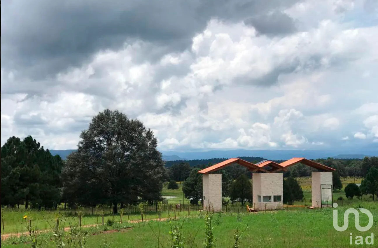 Terreno en Venta en Coyotes (Ojo de Agua de Coyotes), Pueblo Nuevo, Durango | NEX-258980 | iad México | Foto 1 de 9