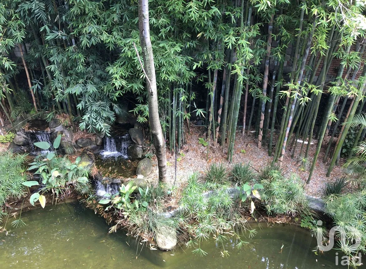 Departamento en Venta en Tetela del Monte, Cuernavaca, Morelos | NEX-241789 | iad México | Foto 5 de 14