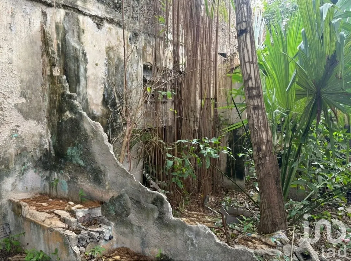 Casa en Venta en Mérida Centro, Mérida, Yucatán | NEX-283991 | iad México | Foto 12 de 12