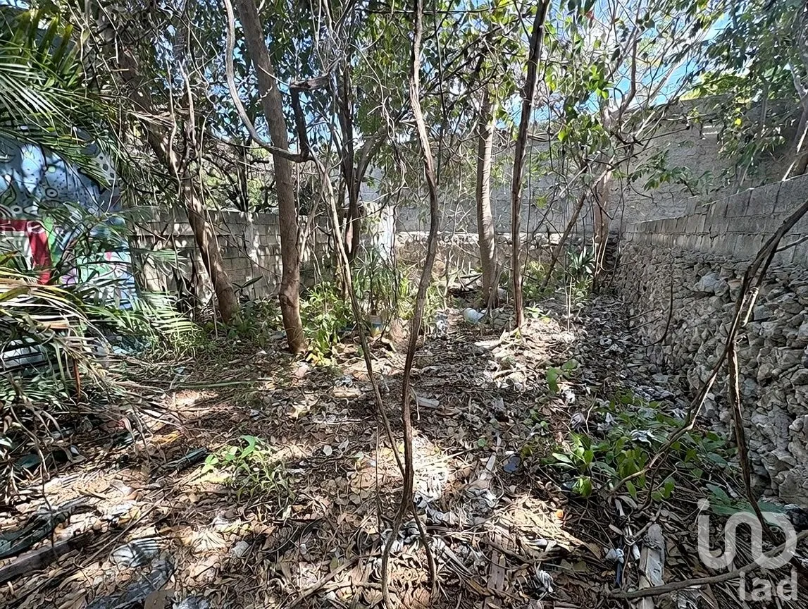 Casa en Venta en Mérida Centro, Mérida, Yucatán | NEX-287288 | iad México | Foto 9 de 12