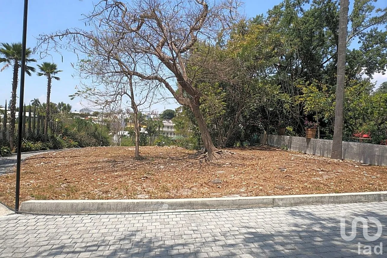 Terreno en Venta en Acapatzingo, Cuernavaca, Morelos | NEX-294156 | iad México | Foto 5 de 14